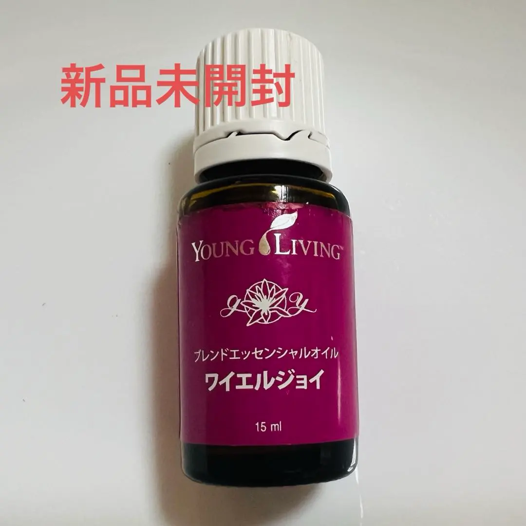 2026年最新】ワイエルジョイの人気アイテム - メルカリ