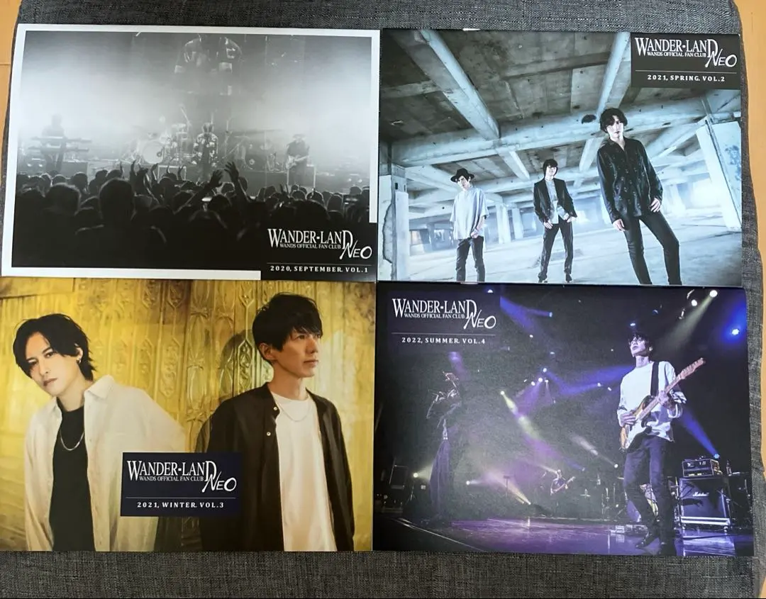 2026年最新】会報 wandsの人気アイテム - メルカリ