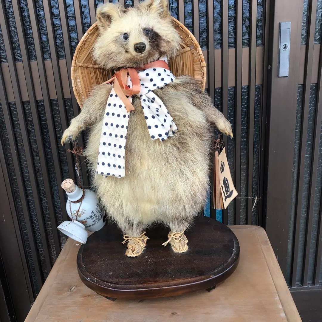 2026年最新】たぬき剥製の人気アイテム - メルカリ