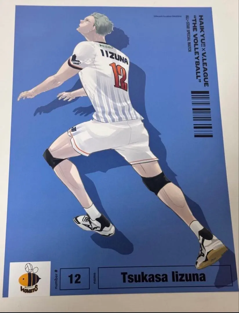 2026年最新】飯綱掌 vリーグの人気アイテム - メルカリ