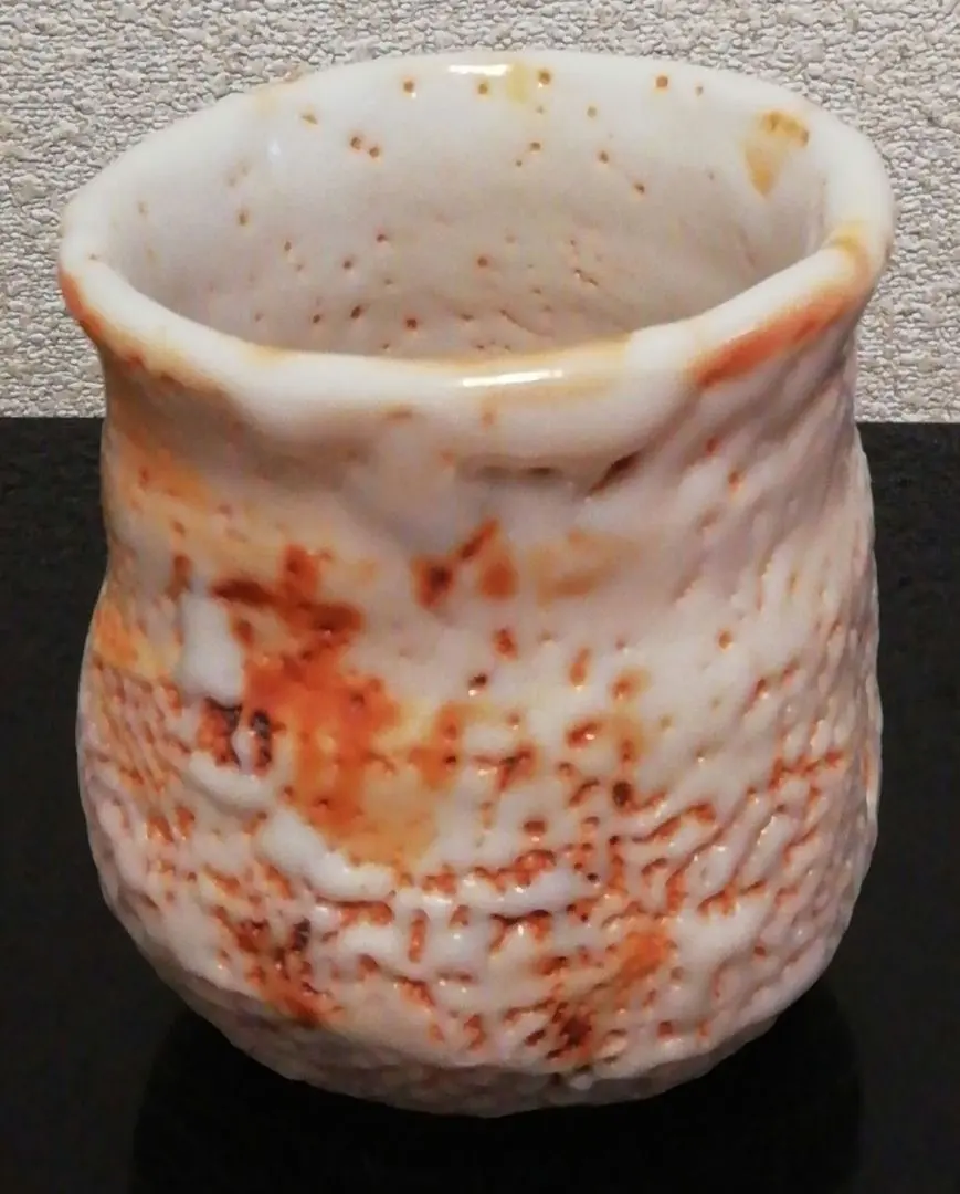 2026年最新】林正太郎 志野の人気アイテム - メルカリ