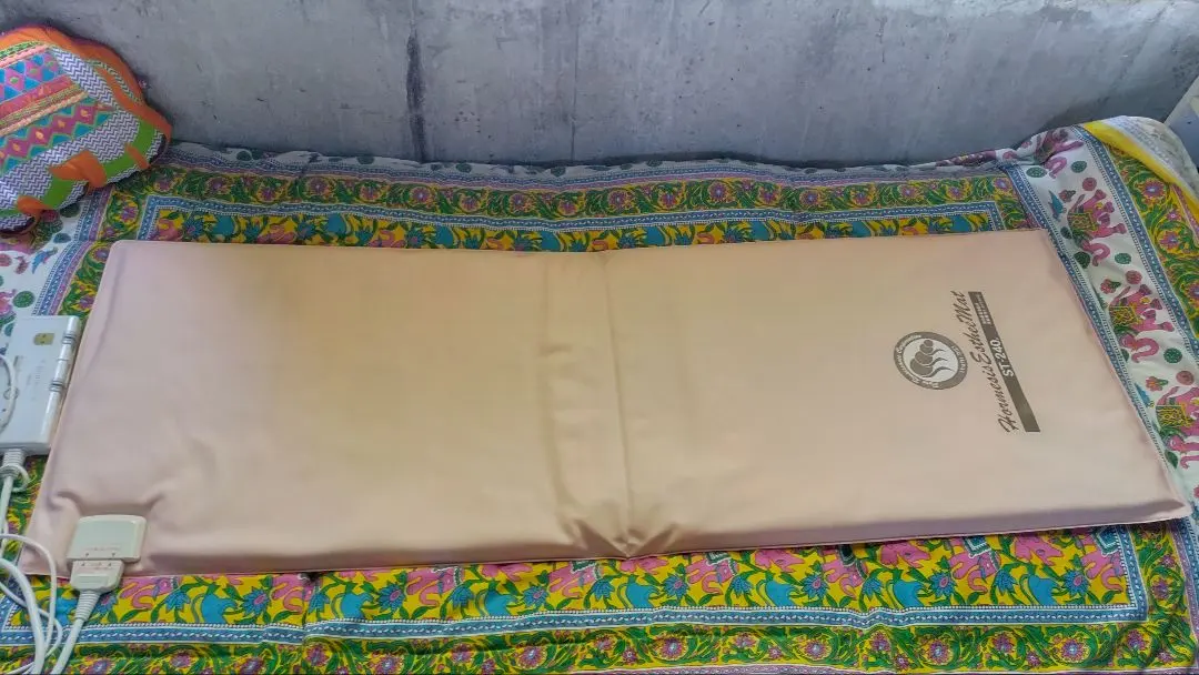 2026年最新】ホルミシス エスティの人気アイテム - メルカリ