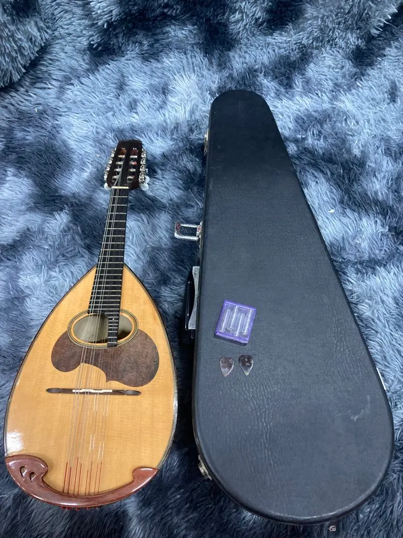 2026年最新】SUZUKI マンドリン m-210の人気アイテム - メルカリ