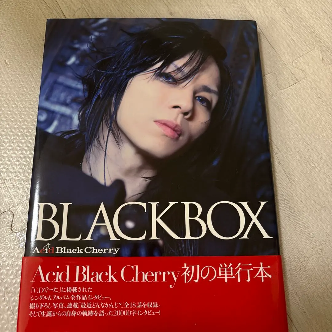 2026年最新】CHERRY写真集 ACIDの人気アイテム - メルカリ