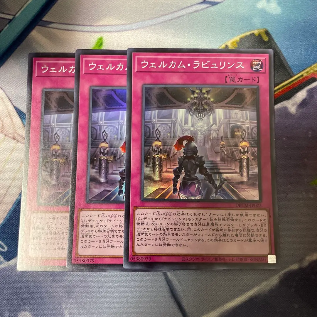 m69901054369_1.jpg?1771868768