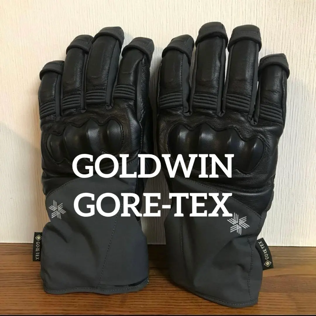 2026年最新】goldwin グローブ ゴアテックスの人気アイテム - メルカリ