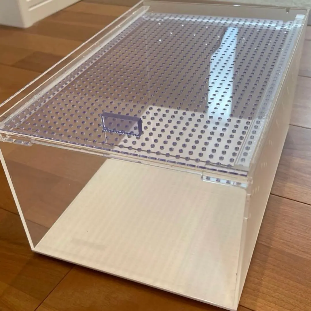 2026年最新】レプタイルボックス ワイドの人気アイテム - メルカリ