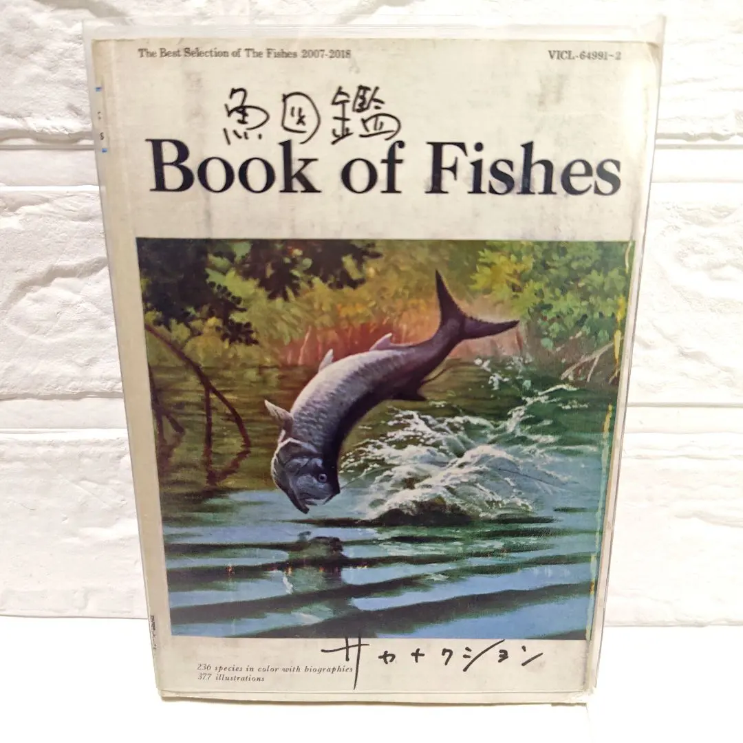 2026年最新】サカナクション 魚図鑑 完全生産限定盤 プレミアムの人気