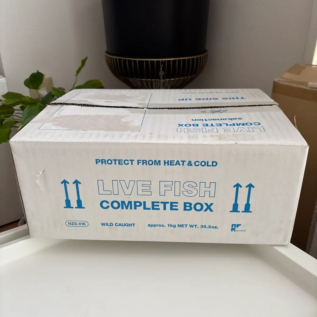 2026年最新】サカナクション live fishの人気アイテム - メルカリ