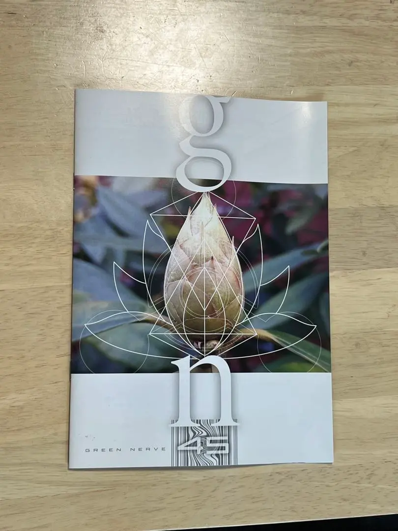 2026年最新】平沢進 会報の人気アイテム - メルカリ