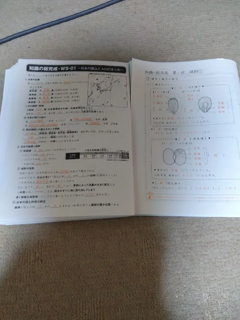 2026年最新】知識の総完成 理科の人気アイテム - メルカリ