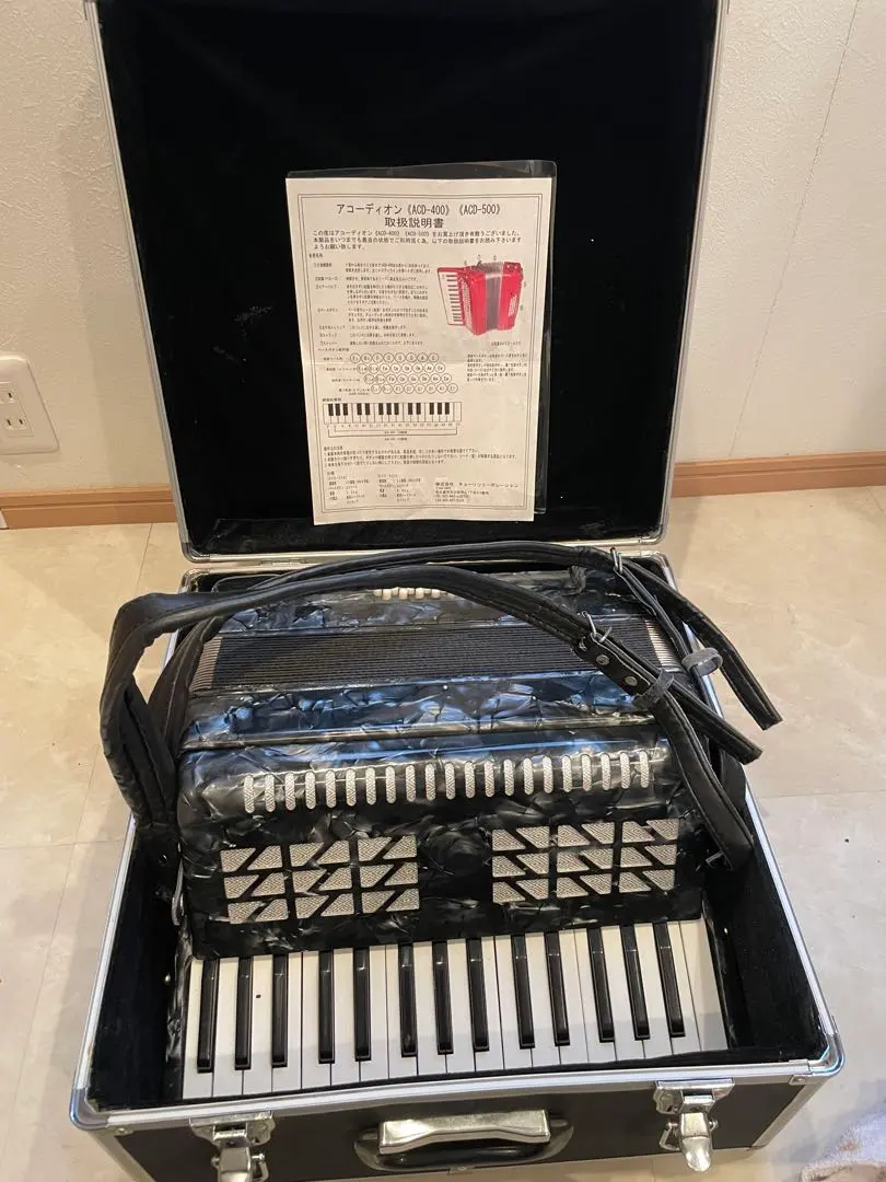 2026年最新】キョーリツ アコーディオンの人気アイテム - メルカリ