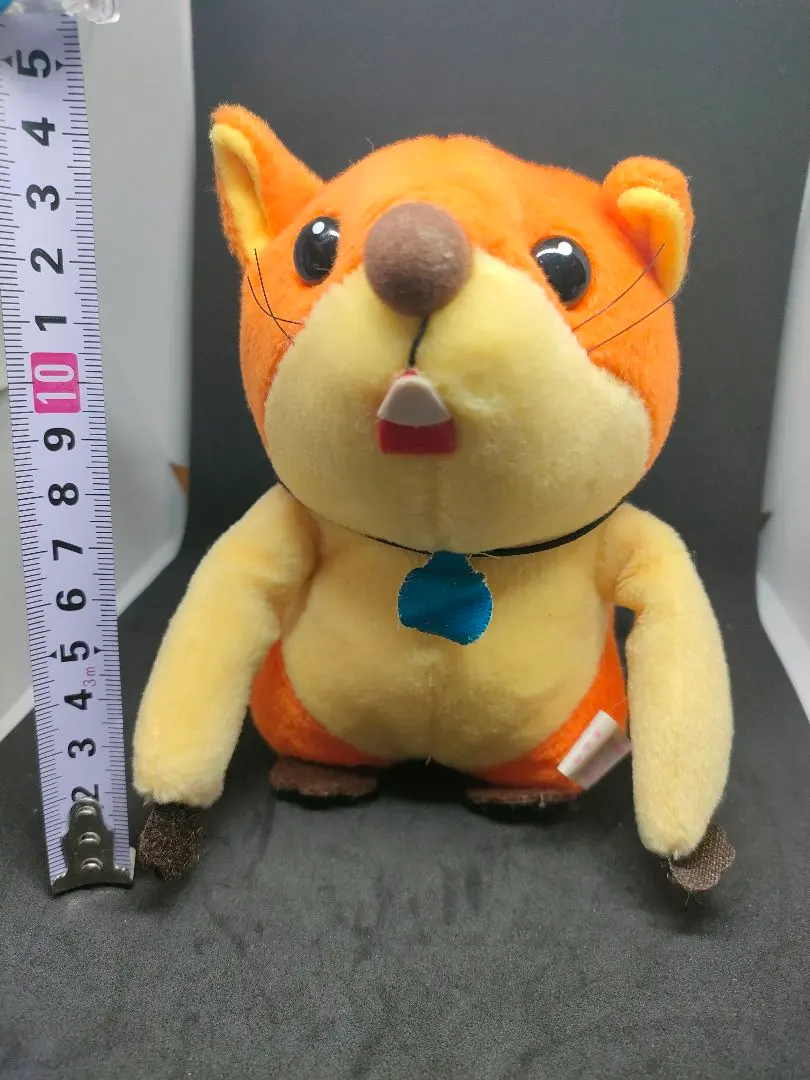 2026年最新】南の虹のルーシーぬいぐるみの人気アイテム - メルカリ