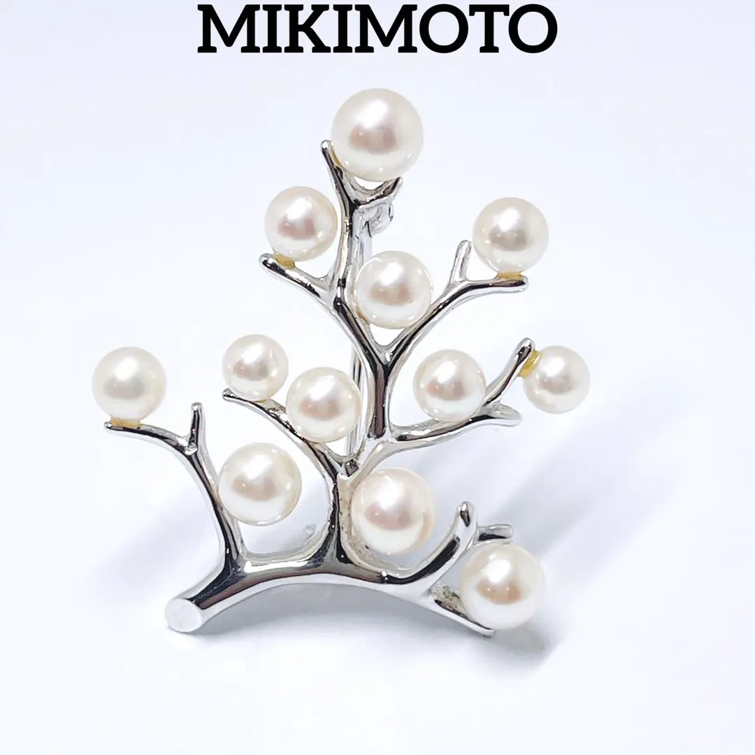 2026年最新】幸福の木 ミキモトの人気アイテム - メルカリ