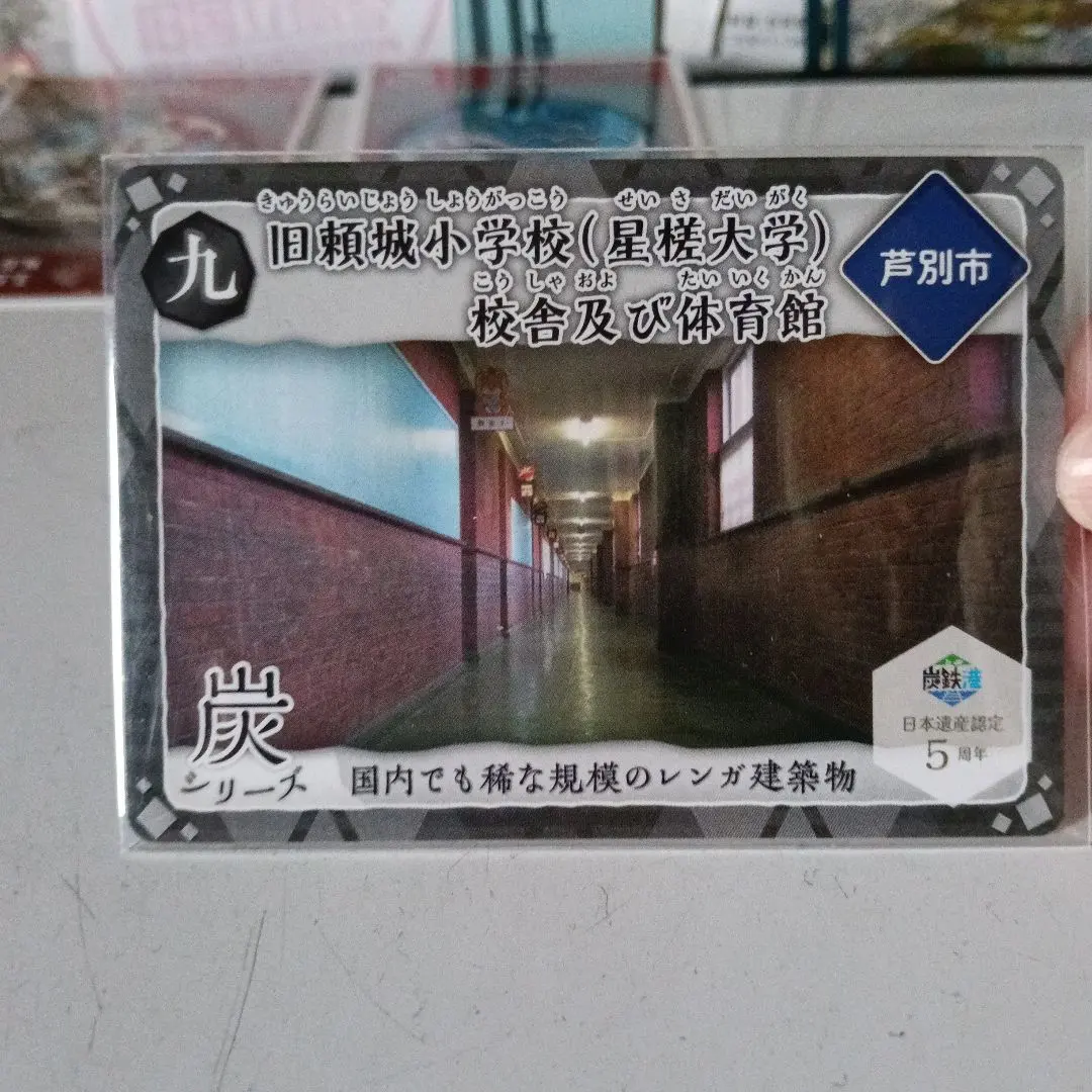 2026年最新】星槎大学の人気アイテム - メルカリ
