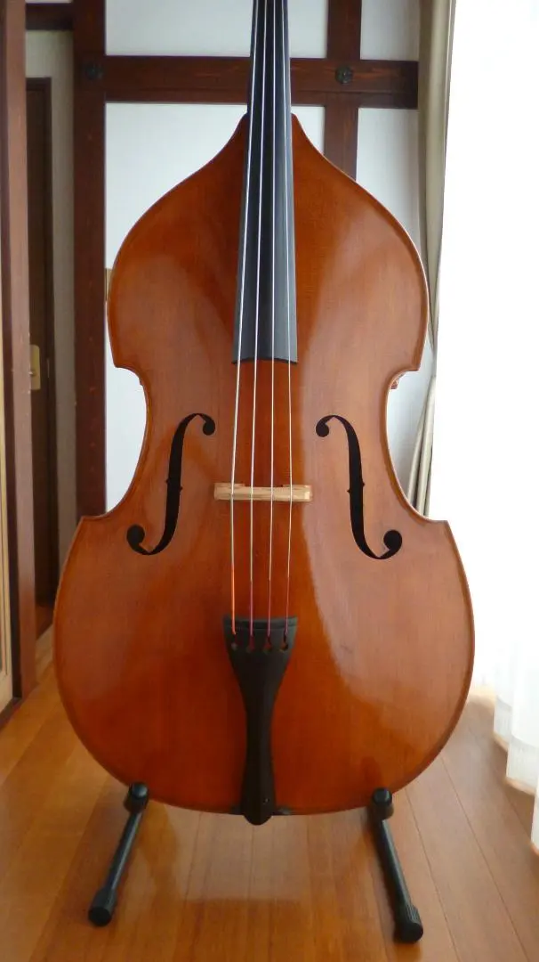 2026年最新】suzuki コントラバスの人気アイテム - メルカリ