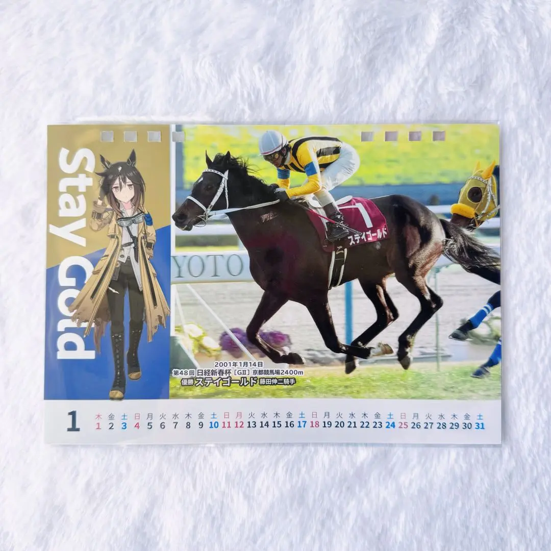 2026年最新】ステイゴールド ポスターの人気アイテム - メルカリ