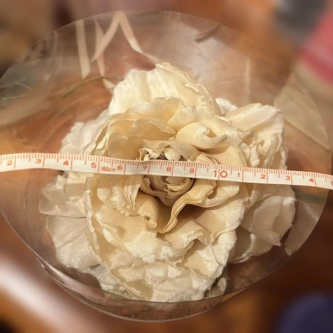 2026年最新】安田早葉子の人気アイテム - メルカリ