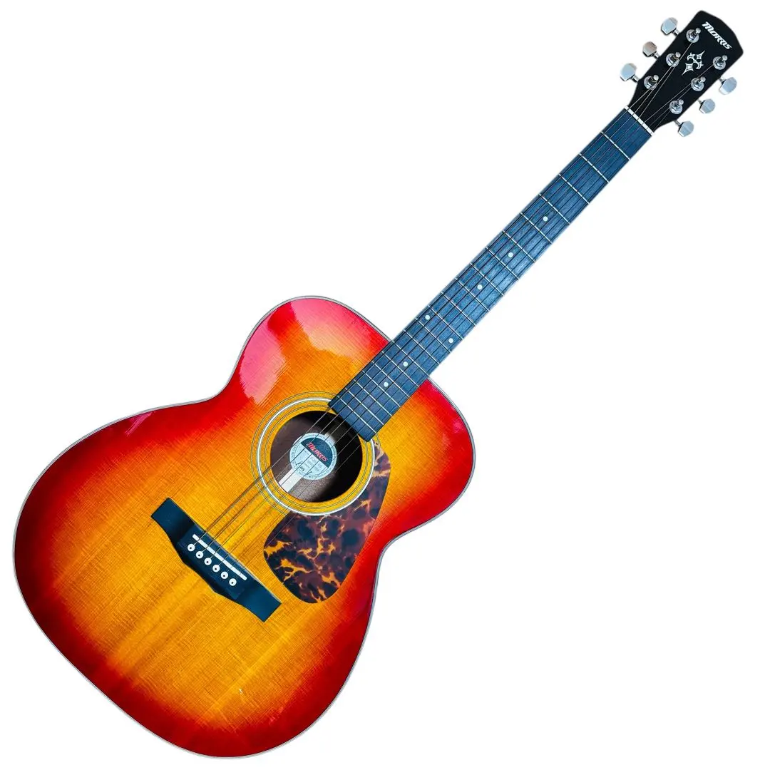 2026年最新】morris f-351の人気アイテム - メルカリ