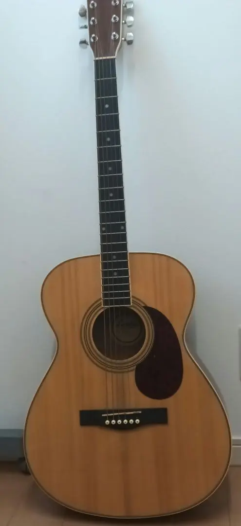 2026年最新】lumber ギターの人気アイテム - メルカリ