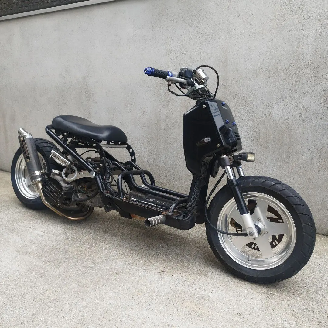 2026年最新】ズーマー ロンホイの人気アイテム - メルカリ