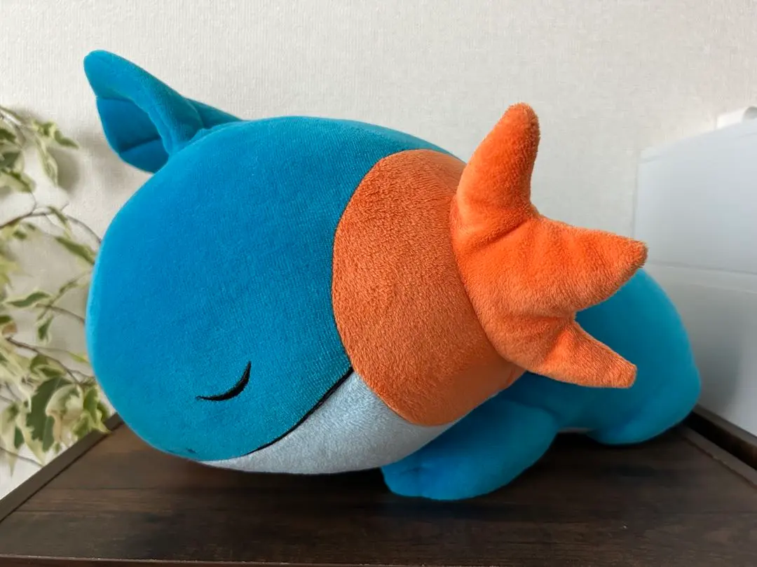 2026年最新】ミズゴロウ すやすやの人気アイテム - メルカリ