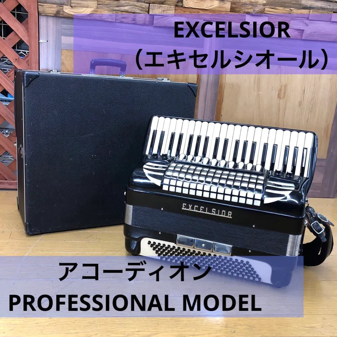 2026年最新】アコーディオン excelsiorの人気アイテム - メルカリ