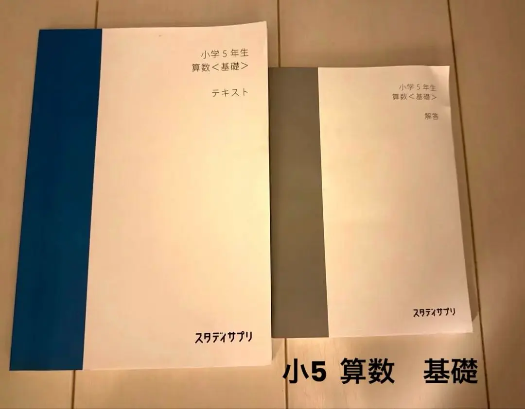 2026年最新】スタサプ テキスト 小5の人気アイテム - メルカリ