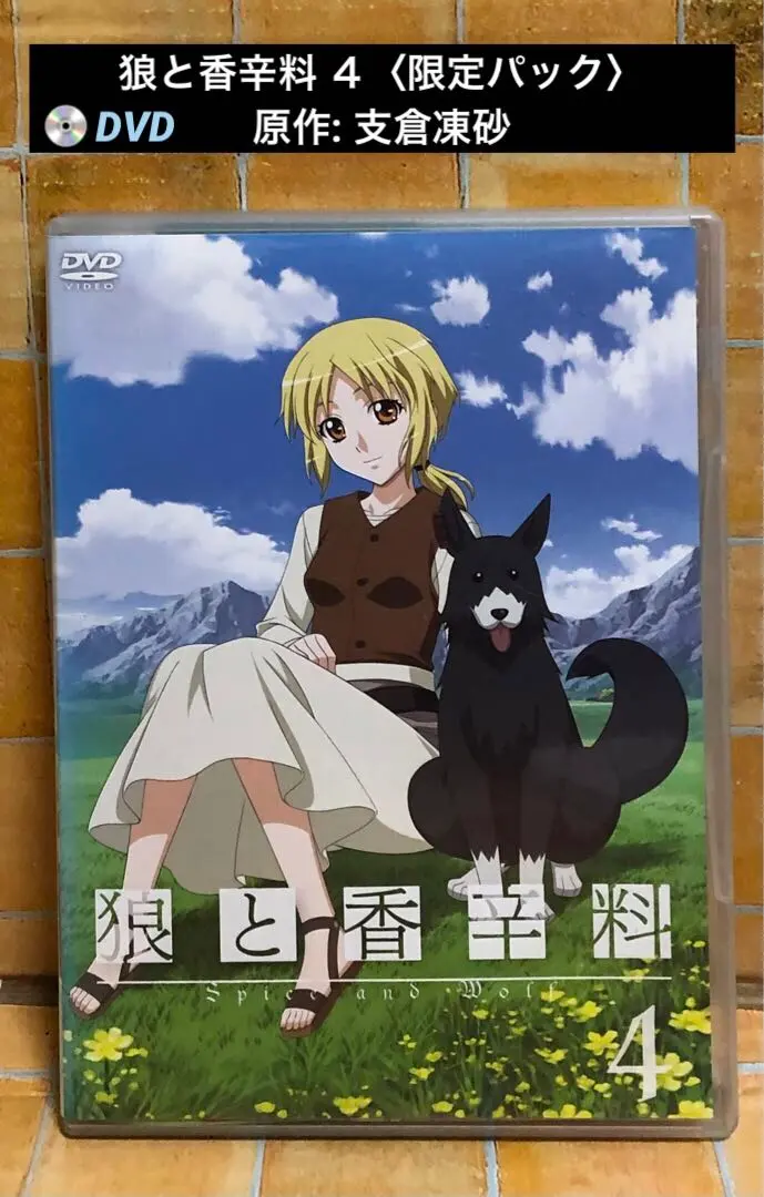 2026年最新】狼 香辛料 パズルの人気アイテム - メルカリ