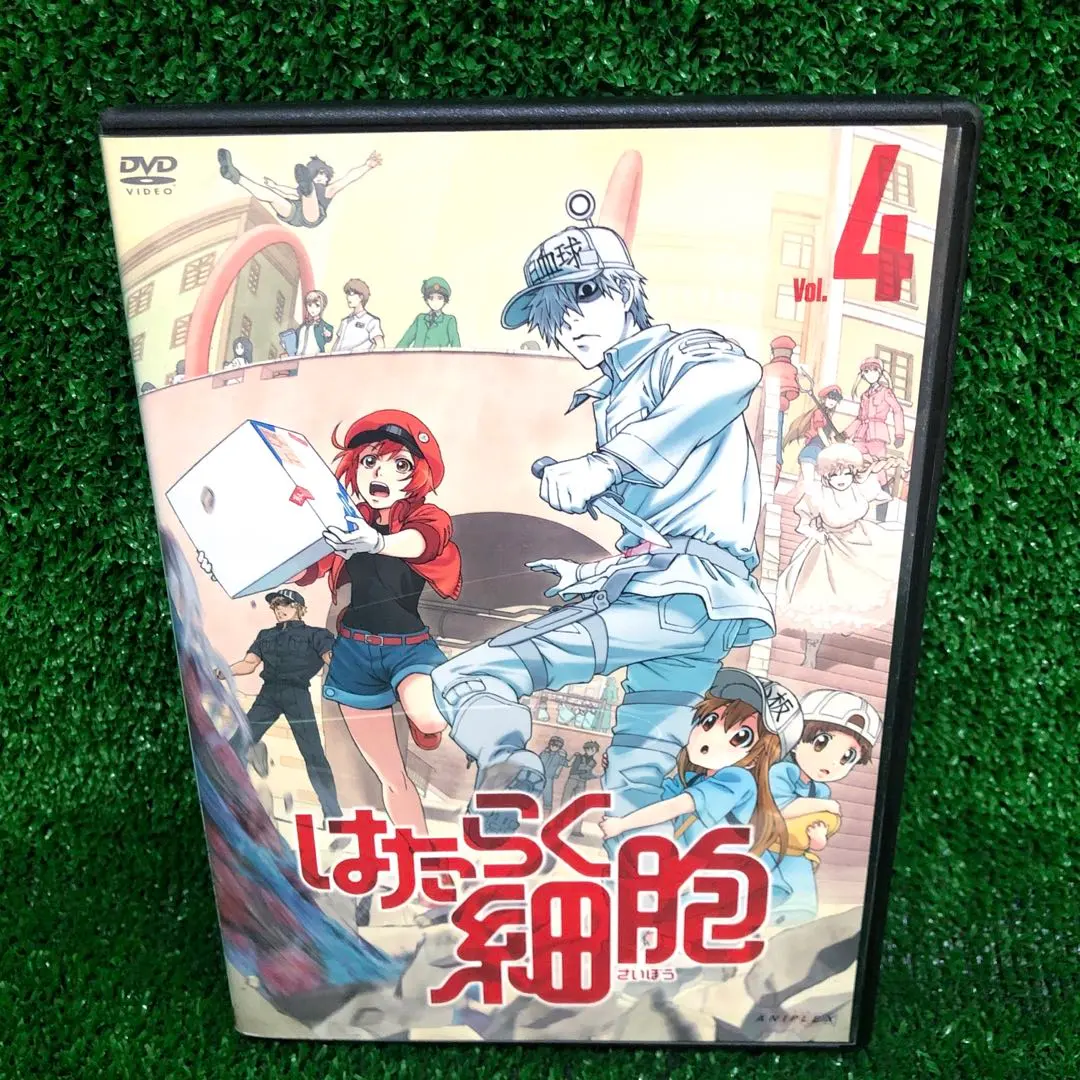 2026年最新】はたらく細胞 dvd 全巻の人気アイテム - メルカリ