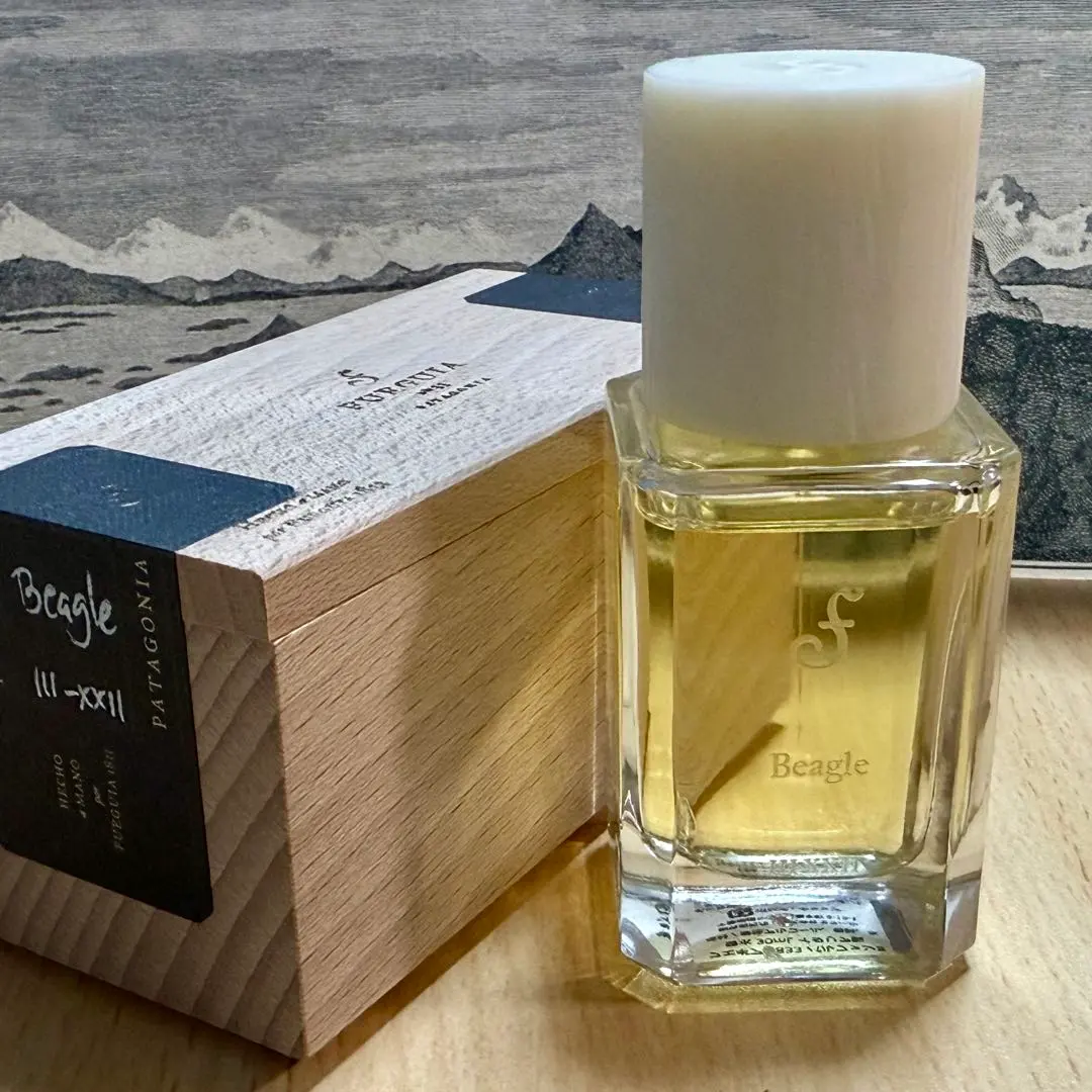 2026年最新】フエギア ダーウィンの人気アイテム - メルカリ