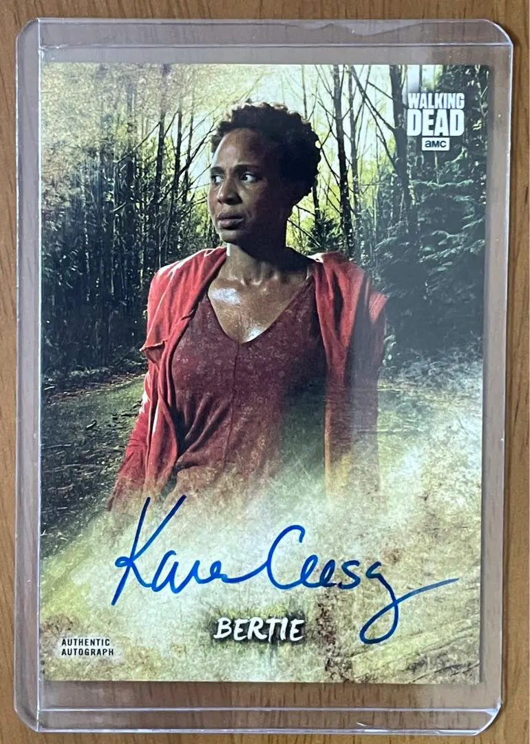 2026年最新】ウォーキングデッド サインの人気アイテム - メルカリ