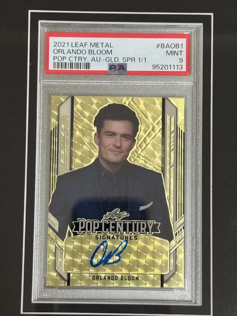 2026年最新】leaf pop centuryの人気アイテム - メルカリ