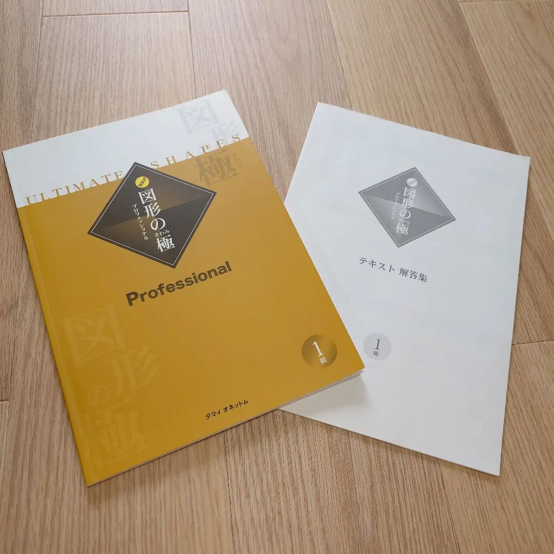 2026年最新】図形の極みの人気アイテム - メルカリ