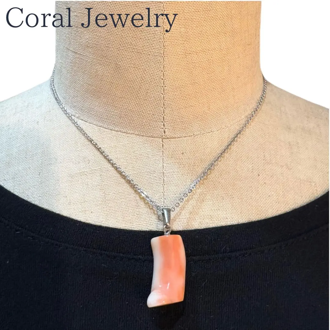 2026年最新】珊瑚原木の人気アイテム - メルカリ