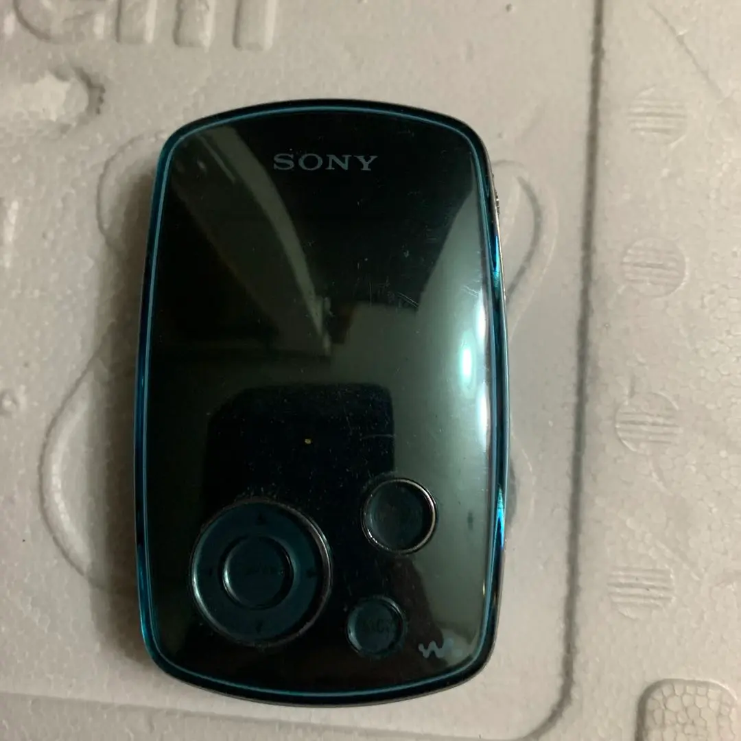 2026年最新】nw-a1000の人気アイテム - メルカリ