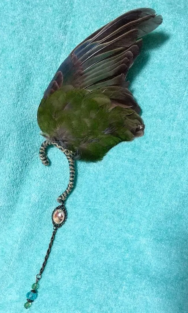 2026年最新】鷹の剥製の人気アイテム - メルカリ