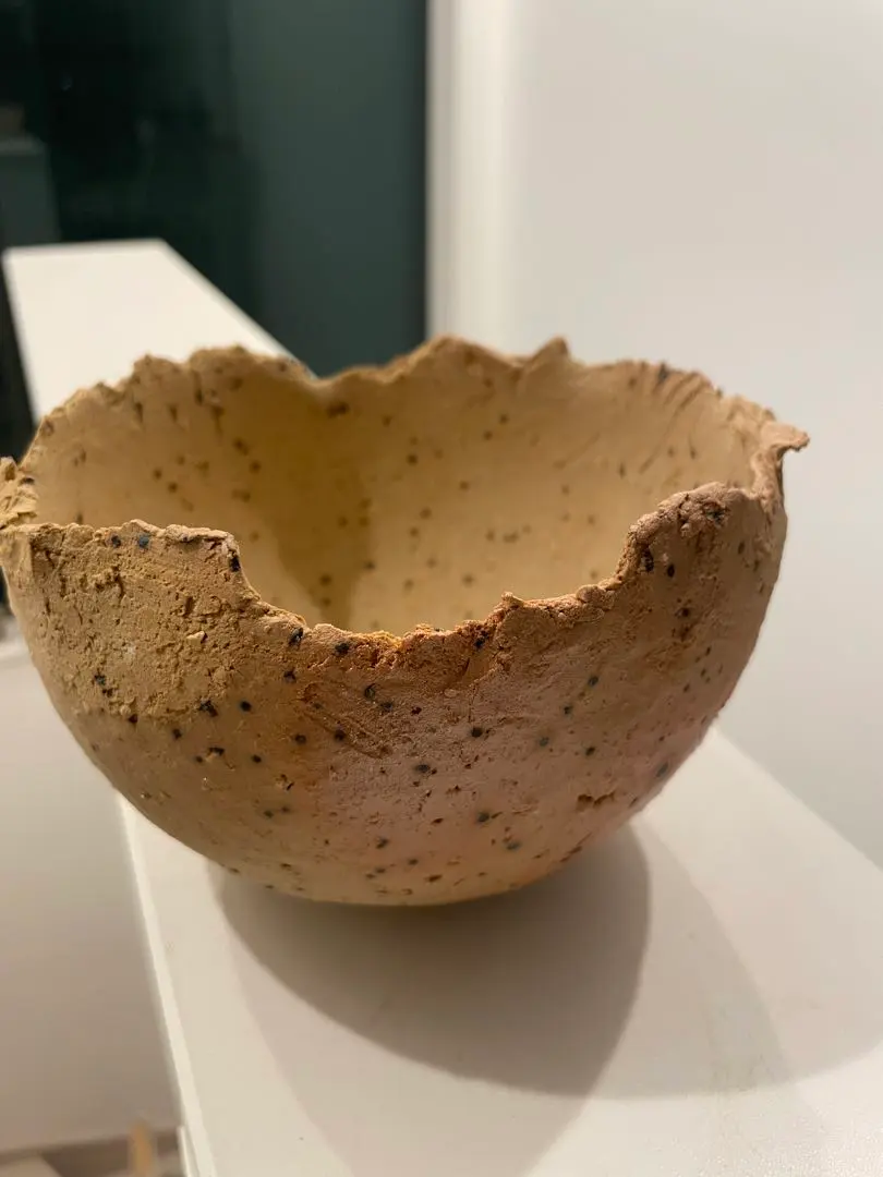 2026年最新】たけろうポット 鉢の人気アイテム - メルカリ