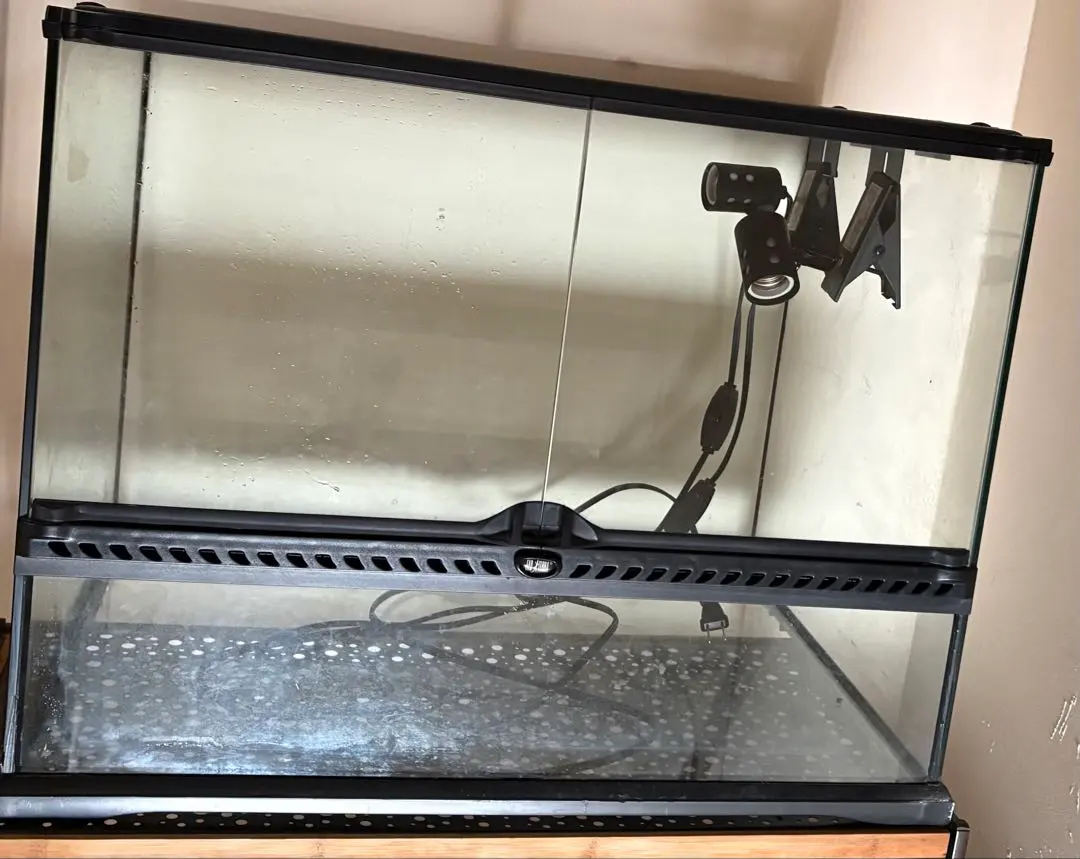 2026年最新】グラステラリウム 9045の人気アイテム - メルカリ