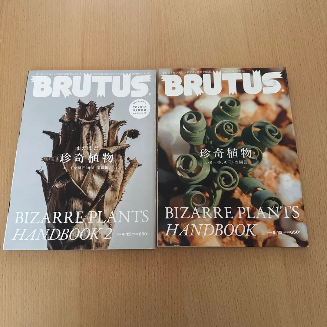 2026年最新】ティランジア ハンドブックの人気アイテム - メルカリ