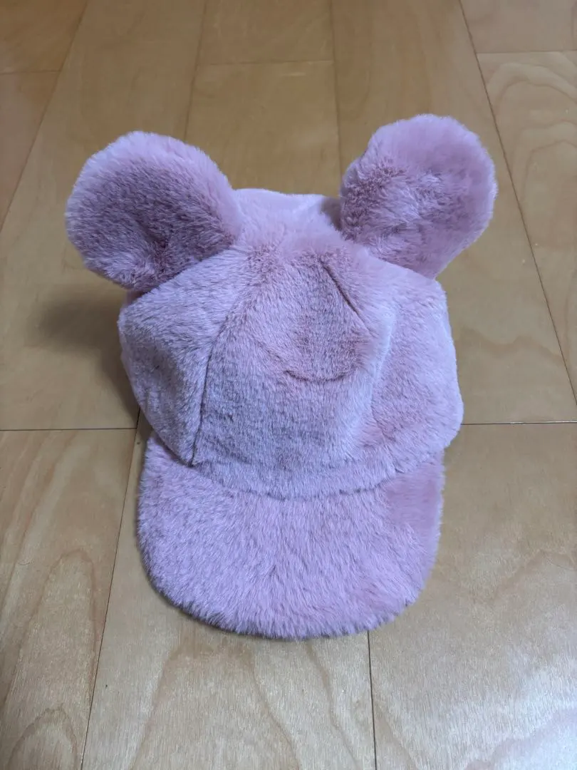 2026年最新】東京ディズニーリゾート 作品名：ミッキー&フレンズ