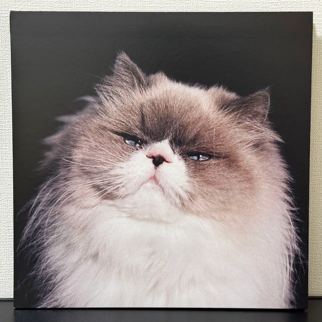 2026年最新】カネコアヤノ 燦々 レコードの人気アイテム - メルカリ