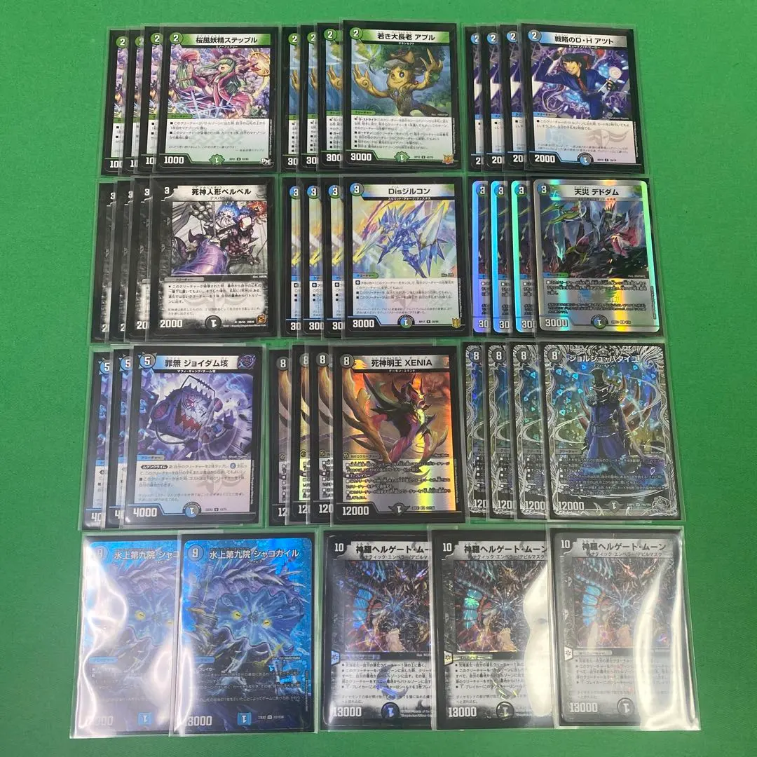 2026年最新】アナカラーシャコガイルの人気アイテム - メルカリ