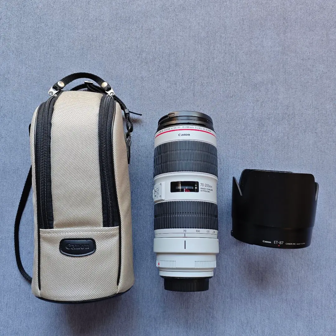 2026年最新】ef70 200mm f4l usm 中古の人気アイテム - メルカリ