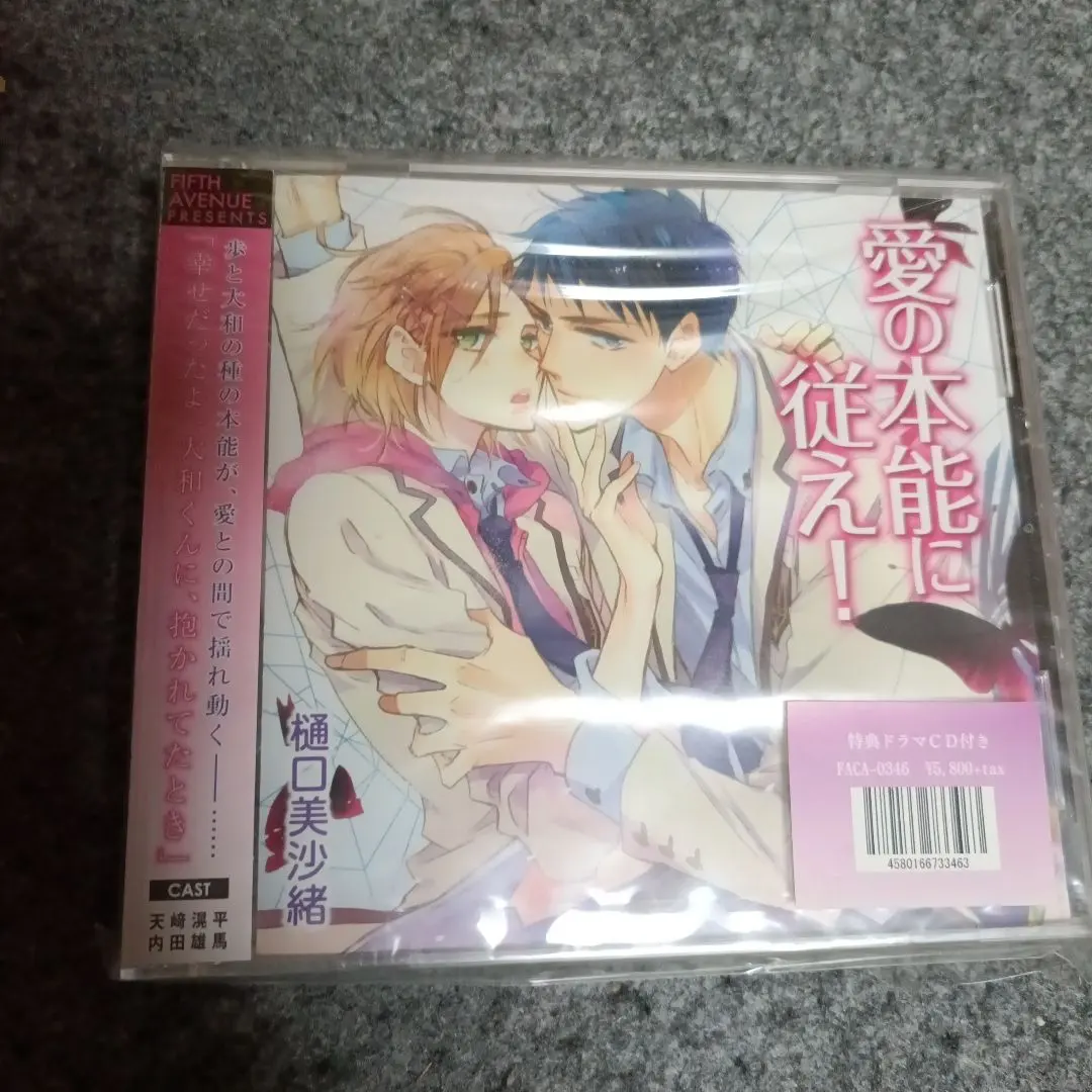 2026年最新】樋口美沙緒 cdの人気アイテム - メルカリ