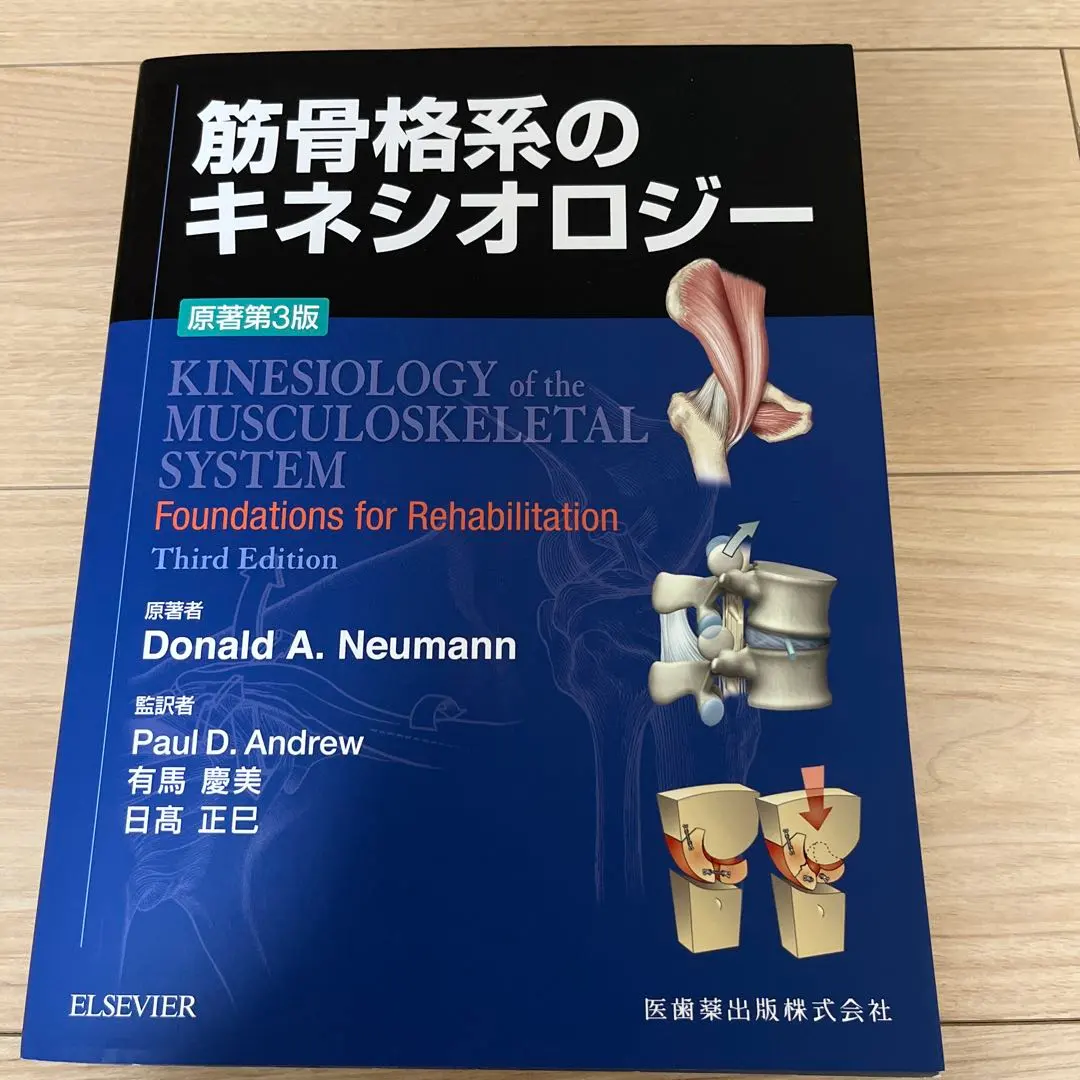 2026年最新】筋骨格系のキネシオロジー 原著第3版の人気アイテム