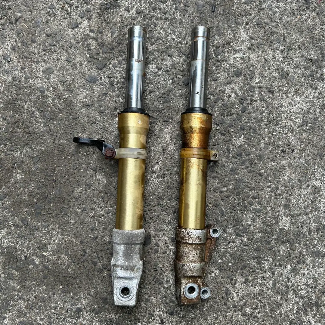 2026年最新】Dio zx ジャンクの人気アイテム - メルカリ