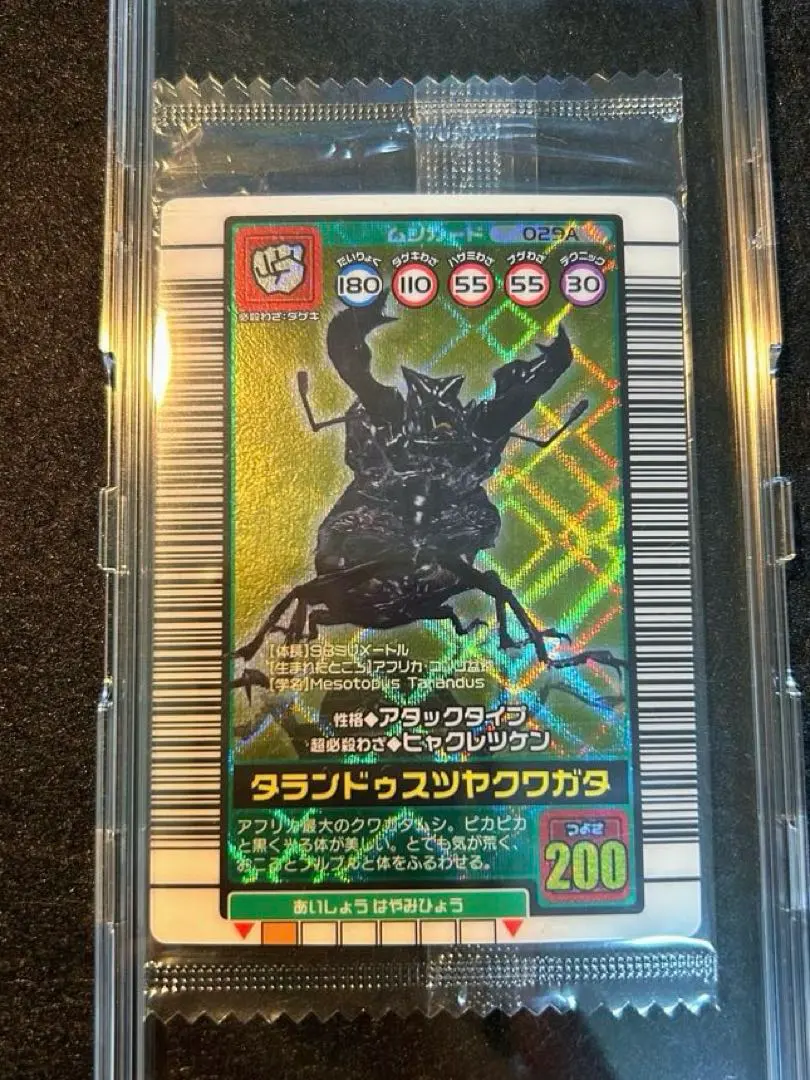 2026年最新】タランドゥスツヤクワガタ 5周年の人気アイテム - メルカリ