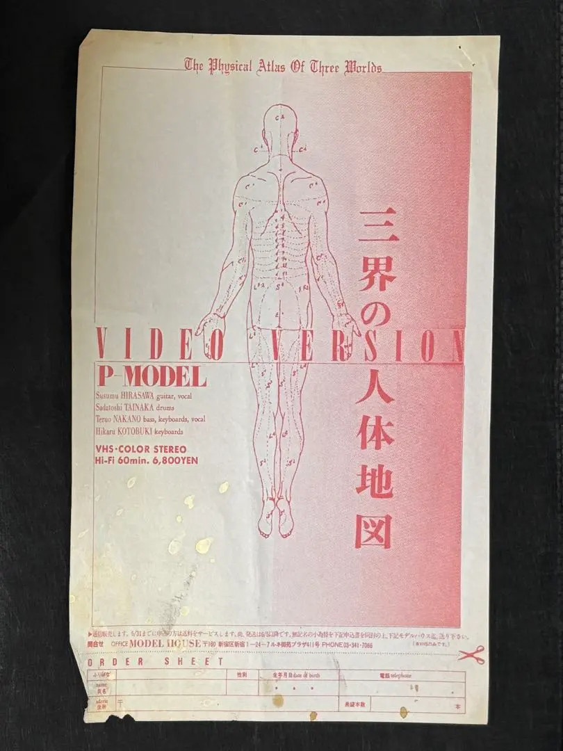 2026年最新】P-MODEL 平沢進 VHSの人気アイテム - メルカリ