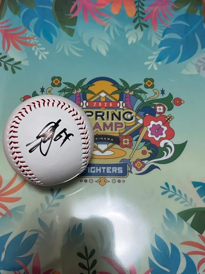 2026年最新】田宮裕涼 サインボールの人気アイテム - メルカリ